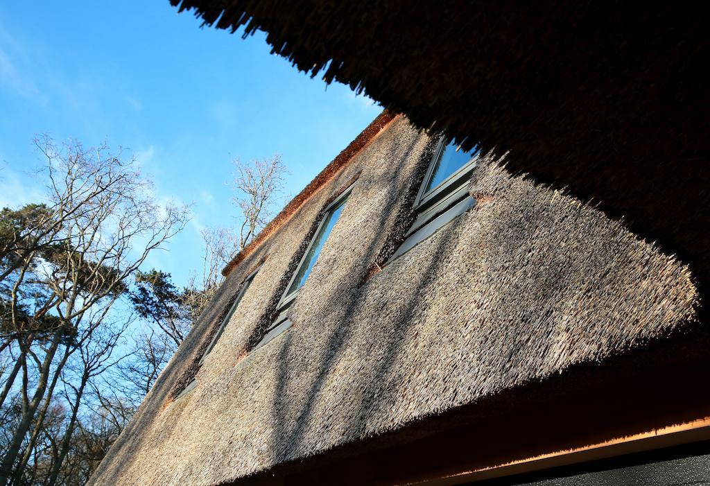 Loft 49 Bed and Breakfast Bergen Exterior foto
